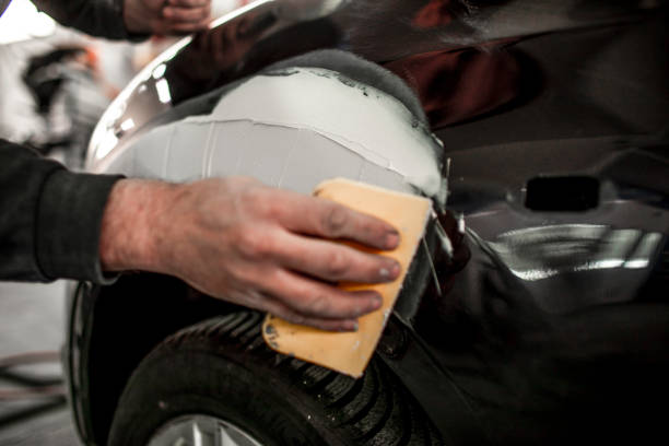 Windom, MN Mold Removal Company