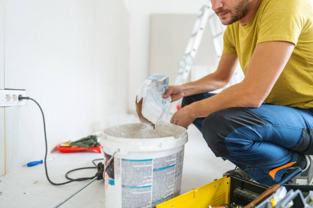 Best Mold Removal for HVAC Installations  in Windom, MN