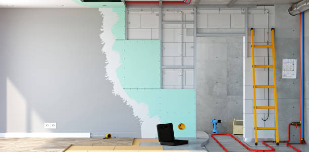 Best Real Estate Mold Inspection  in Windom, MN