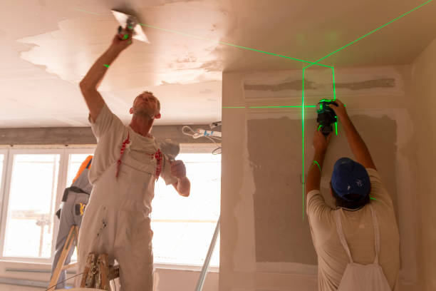 Best Water Damage & Mold Remediation  in Windom, MN