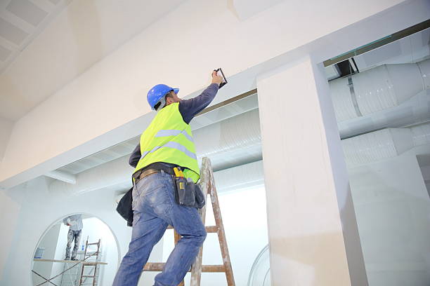 Best Forensic Mold Investigation  in Windom, MN